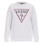 GUESS J74Q10KAUG0G011