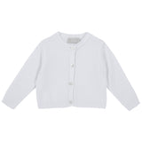 Chicco 16945033
