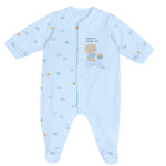 Chicco 27264021