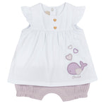 Chicco 51354012