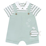Chicco 57191051