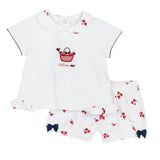 Chicco 73894037