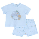 Chicco 73903021