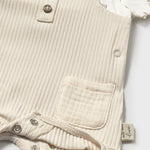 New Born 161634