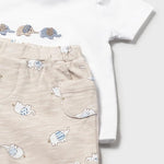 Completo 4 pezzi pantalone corto neonato 